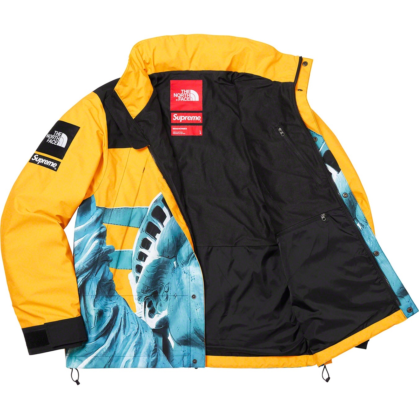 Supreme®/The North Face® Statue of Liberty Mountain Jacket view 15